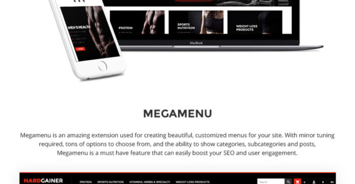 Hard Gainer - Sports Nutrition Store Responsive Magento Theme - Features Image 4