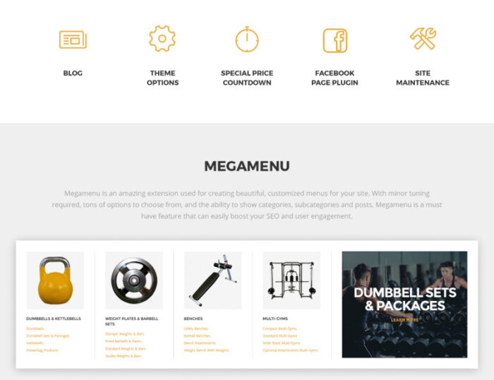 BuzzSport - Gym Equipment Magento Theme - Features Image 3