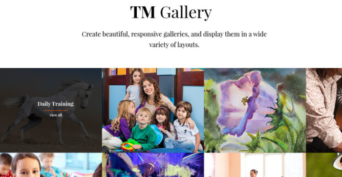 Yoozie - Children Art School WordPress theme - Features Image 16