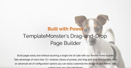 PetInn - Animal Shelter Responsive WordPress Theme - Features Image 1