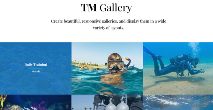 NavyBlue - Scuba Diving Club Responsive WordPress Theme - Features Image 16