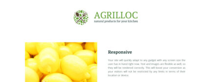 Agrilloc - Natural Products Store Responsive OpenCart Template - Features Image 1