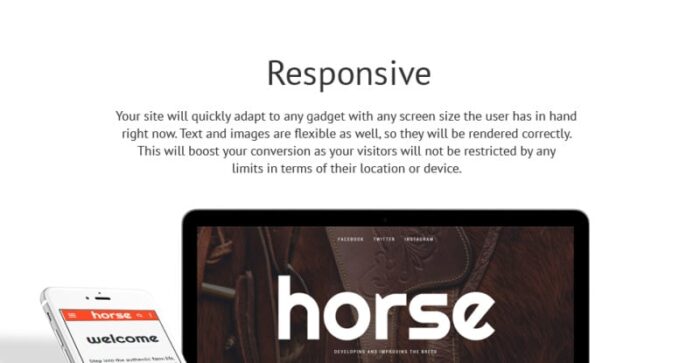 Horse - Horse Farm Animals Website Template - Features Image 1