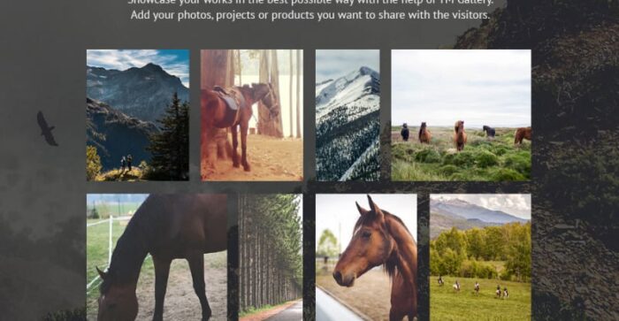 Horse - Horse Farm Animals Website Template - Features Image 4