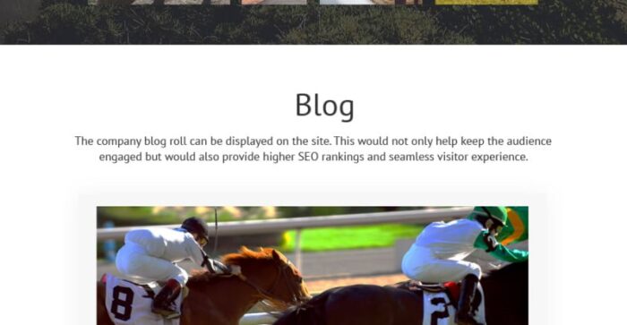 Horse - Horse Farm Animals Website Template - Features Image 5