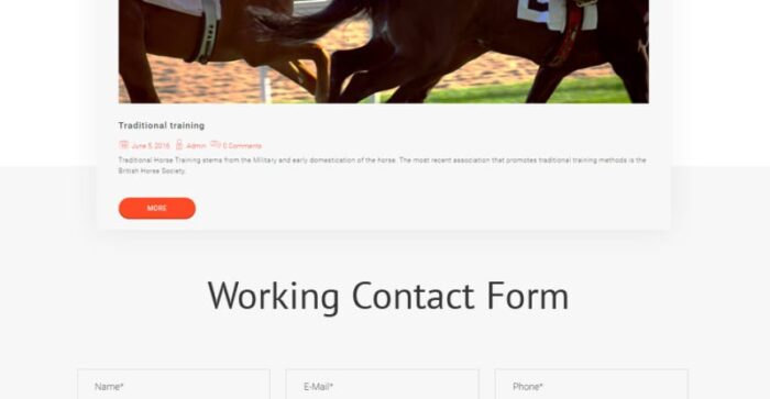 Horse - Horse Farm Animals Website Template - Features Image 6