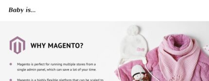 Babyis - Baby Clothes Store Responsive Magento Theme - Features Image 1