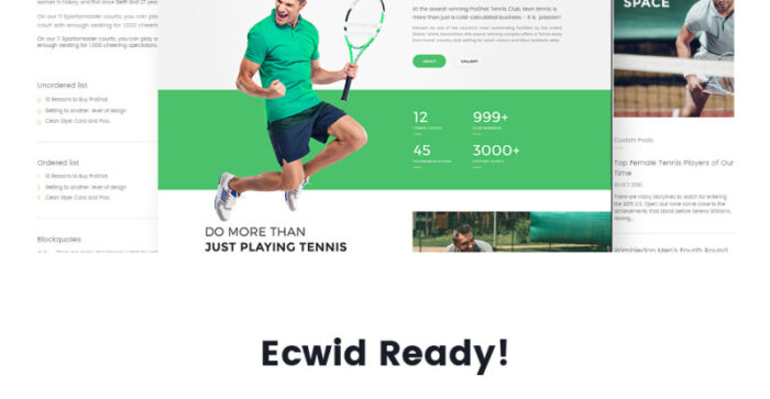 ProShot - Tennis Club Responsive WordPress Theme - Features Image 12