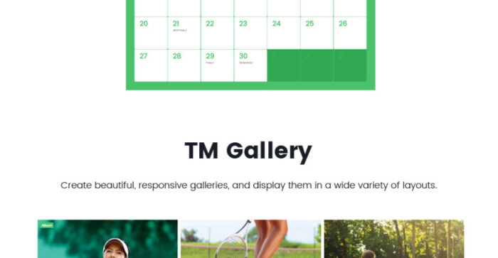 ProShot - Tennis Club Responsive WordPress Theme - Features Image 17