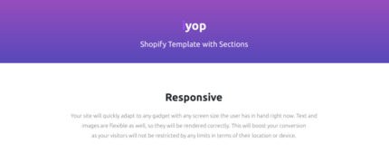 Computer Store Responsive Shopify Theme - Features Image 1