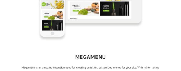 Pharmann - Drug Store Magento Theme - Features Image 5