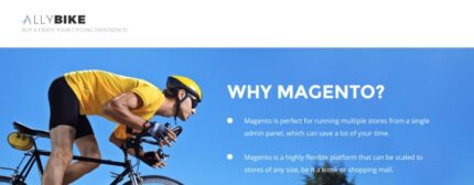 AllyBike - Cycling Supplies Store Responsive Magento Theme - Features Image 1