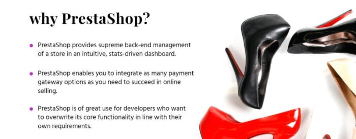 Shoeger PrestaShop Theme - Features Image 2