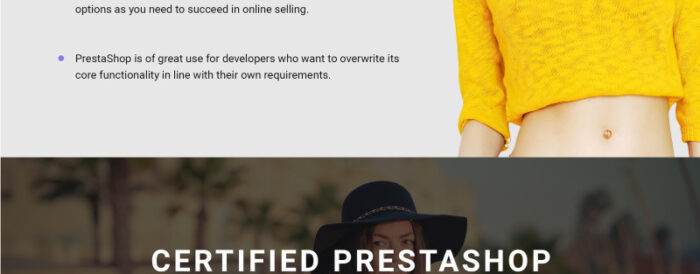 Pyhotera PrestaShop Theme - Features Image 3