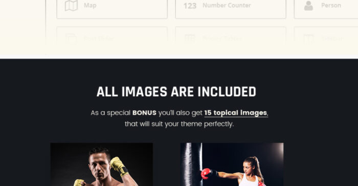 Termifighter - Martial Arts Club Responsive WordPress Theme - Features Image 10