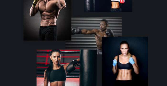 Termifighter - Martial Arts Club Responsive WordPress Theme - Features Image 11