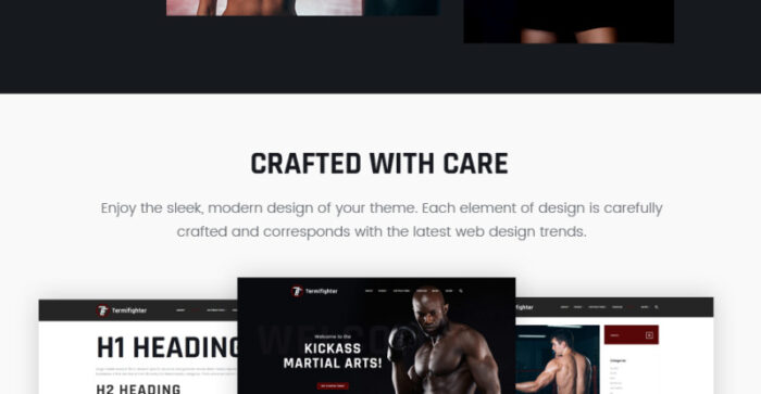 Termifighter - Martial Arts Club Responsive WordPress Theme - Features Image 12