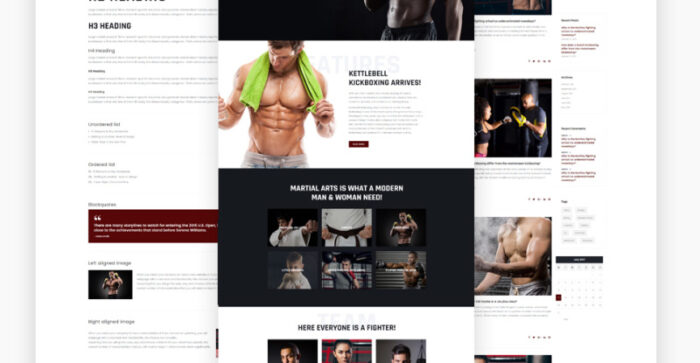 Termifighter - Martial Arts Club Responsive WordPress Theme - Features Image 13