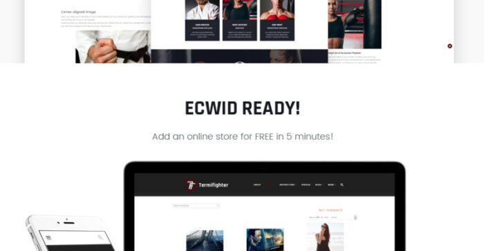 Termifighter - Martial Arts Club Responsive WordPress Theme - Features Image 14