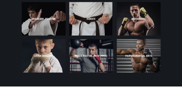 Termifighter - Martial Arts Club Responsive WordPress Theme - Features Image 16