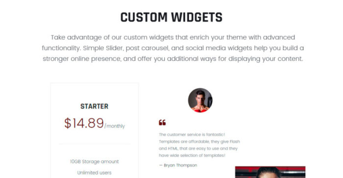 Termifighter - Martial Arts Club Responsive WordPress Theme - Features Image 17