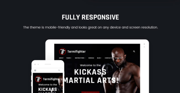 Termifighter - Martial Arts Club Responsive WordPress Theme - Features Image 21