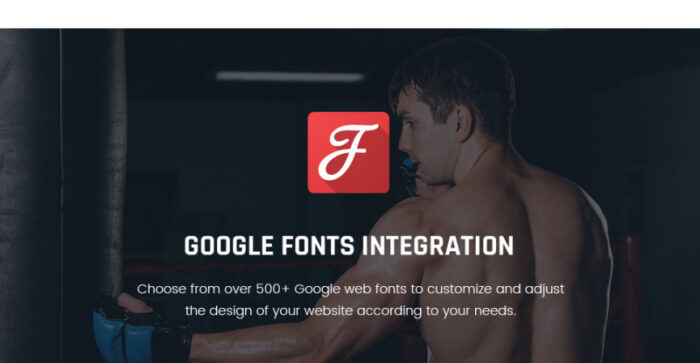 Termifighter - Martial Arts Club Responsive WordPress Theme - Features Image 24