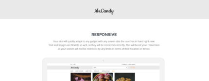 Sweet Shop Responsive OpenCart Template - Features Image 1