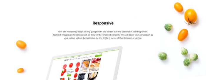 Food Store - Responsive OpenCart Template - Features Image 1