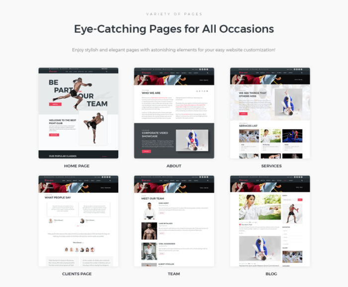 Fight House - Brutal Martial Arts Club WordPress Theme - Features Image 2