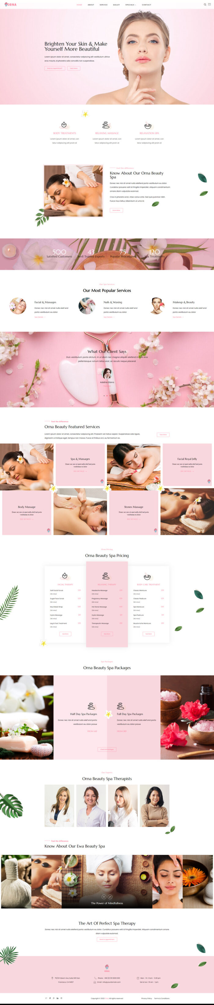 Orna - A Beautiful Spa Saloon WordPress Theme - Features Image 1