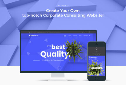 Contributz - Corporate Consulting WordPress Elementor Theme - Features Image 1