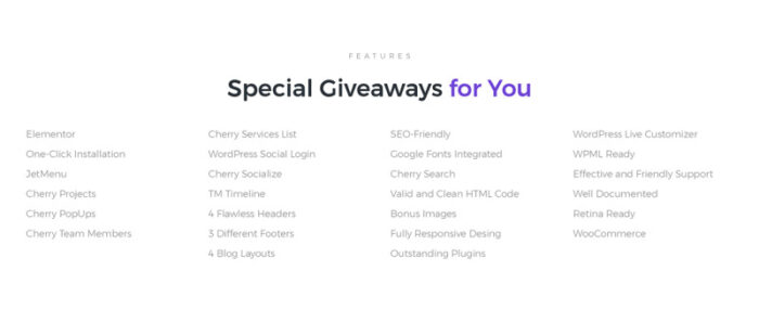 Eventagy - Event Agency WordPress Elementor Theme - Features Image 7