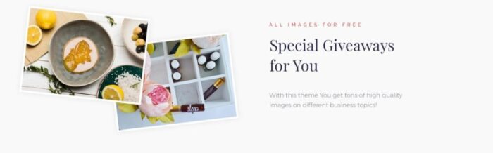 Greeny’s - Healthy Fashion WordPress Elementor Theme - Features Image 5