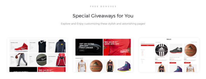 Olympicchamps - Basketball Stuff Elementor WooCommerce Theme - Features Image 2