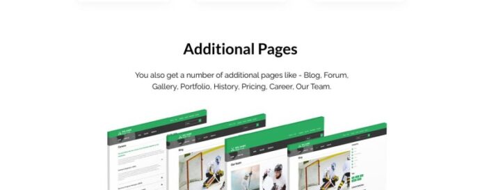 Big Game - Hockey Team Website Ready-To-Use Joomla Template - Features Image 4