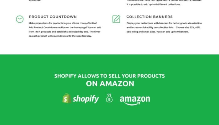 Baby Boom Shopify Theme - Features Image 11