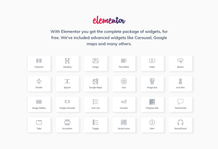 Dishlish - Restaurant Multipurpose Classic WordPress Elementor Theme - Features Image 2