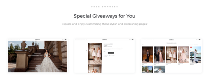 CeleBres - Wedding Salon ECommerce Modern Elementor WooCommerce Theme - Features Image 2