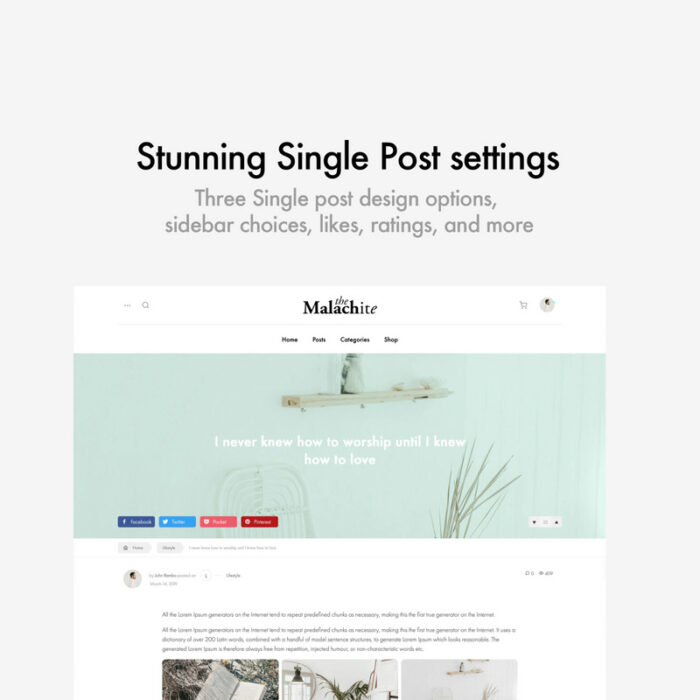 Malachite Blog WordPress Theme - Features Image 5