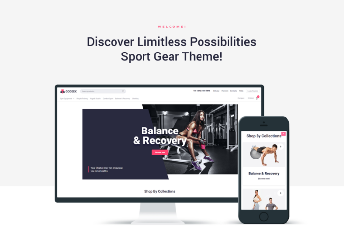 Godeex - Sports Gear ECommerce Modern Elementor WooCommerce Theme - Features Image 1