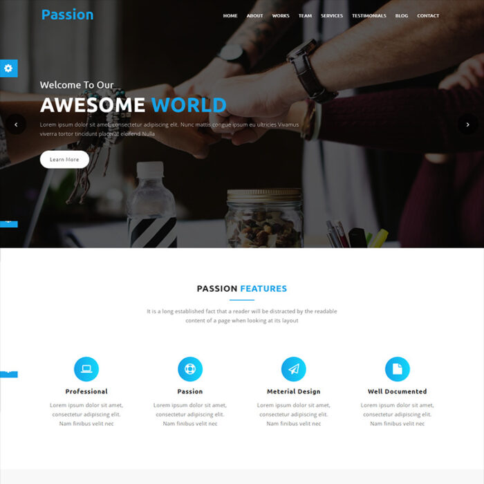 Passion Digital Marketing Agency Landing Page Template - Features Image 1