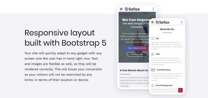 Sefax - SEO & Digital Marketing HTML5 Template - Features Image 5