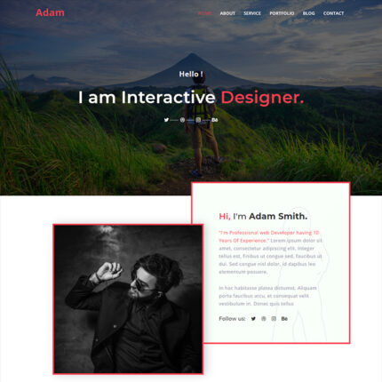 Adam Personal Portfolio HTML5 Landing Page Template - Features Image 1