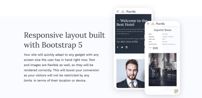 Norvila - Luxury Hotel HTML5 Website Template - Features Image 5