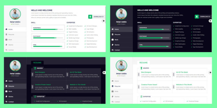 DevPort - Personal CV/Resume Portfolio HTML Template - Features Image 1