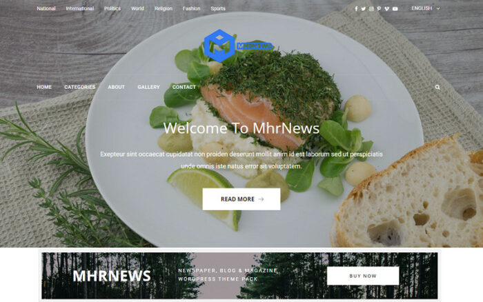 MhrNews - Online Newspaper, Blog, Journal and Magazine HTML and Bootstrap Website Template - Features Image 1