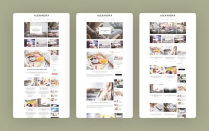 Alexandra - The Perfect WordPress Theme for Creative Blogs