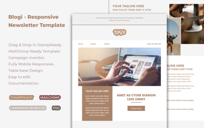 Blogi - Responsive Newsletter Template