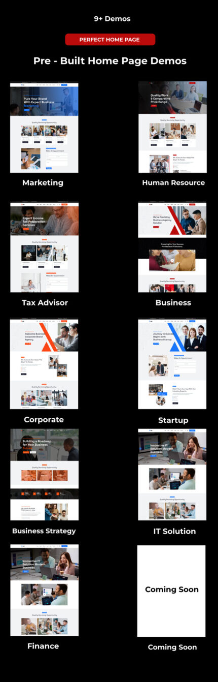 Business Agency & Consulting Wordpress Theme - Features Image 1